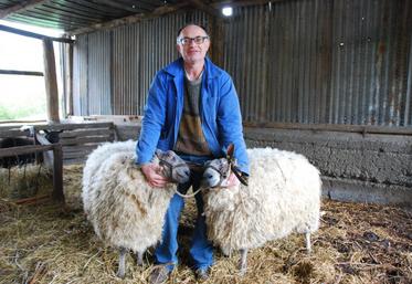 La Chapelle-Gauthier, jeudi 12 février. Eric Loeltz présente ses deux agnelles de la race Bleu-du-Maine qu’il présentera lors du concours général et que les visiteurs du salon de l’agriculture pourront admirer.