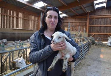 Chevreuse (Yvelines), le 15 mars. L’éleveuse Martine Peltier parvient à équilibrer les comptes de son exploitation grâce à la vente directe de toutes ses bêtes. 