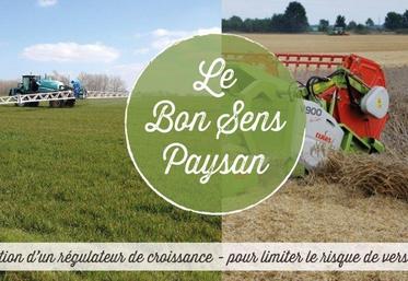 Les agriculteurs engagés dans la démarche « Le Bon sens paysan » vont se former aux techniques de communication. 