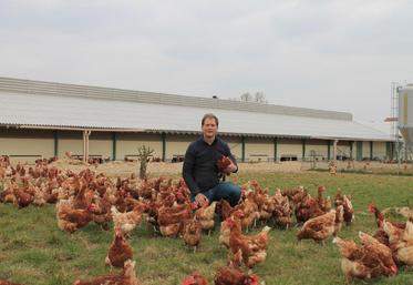 Mouroux, jeudi 24 mars. Stéphane Darche au milieu de son élevage de poules pondeuses de plein air dont la production est proposée sur le site Internet du drive fermier.