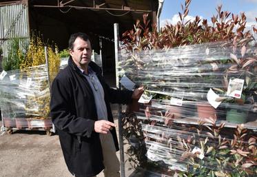 Crisenoy, vendredi 8 avril. Emmanuel Croux présente une étiquette apposée sur une plante prête à être expédiée vers une jardinerie.