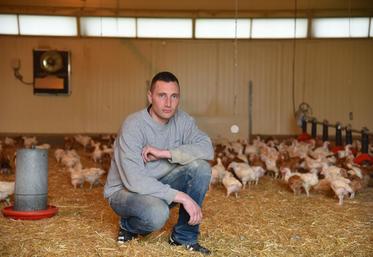 Villemareuil, jeudi 14 avril. Sur l’exploitation de Mathieu Birckel, les poussins arrivent à un jour, sont élévés, abattus, voire découpés et cuisinés sur le site.