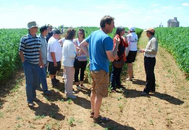 L’opération « La ferme ? C’est le moment de l’ouvrir ! » reprend jusque fin juillet.
