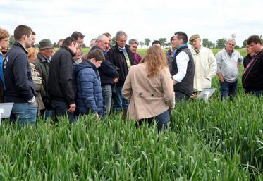 Le 24 mai, à Châteaudun. Près de deux cents personnes ont participé à la visite des essais agronomiques de la société Timac agro.