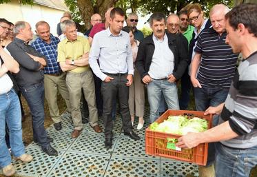 Le 27 mai, à la Ferté-Villeneuil. Les membres du comice agricole ont effectué la tournée des entreprises et des exploitations qui seront distinguées lors du comice des 4 et 5 juin à Cloyes-sur-le-Loir, en passant par celle de Franck Girard (à d.) qui produit des salades.