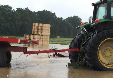 Saint-Martin-en-Bière, lundi 30 mai. Les cagettes des salades — entièrement sous l’eau — forment une île.