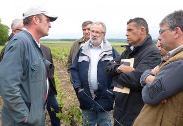 Le 3 juin, à Choussy. Xavier Beulin a rencontré le viticulteur Thierry Gosseaume, touché par le gel.