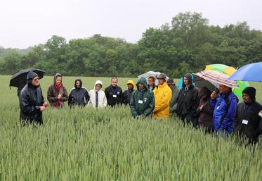 Le 30 mai, à Montlouis (Indre-et-Loire). L’Apad a organisé des journées techniques sur l’agriculture de conservation des sols en Indre-et-Loire et Loir-et-Cher.