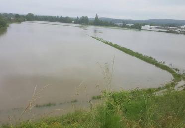 Le long de la Seine, les parcelles maraîchères se sont transformées en lac. 