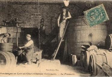 Les AOC cherchent des documents attestant de l’ancienneté du vignoble.