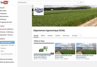 Le 20 juin, sur la Toile. Le département agronomique du groupe coopératif Scael a lancé sa chaîne Youtube.