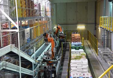 Verdelot, jeudi 9 juin. Des robots récupèrent les sacs ou les palettes commandées au moment du chargement des camions.