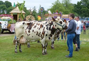 Le 3 juillet, à Droué. Les éleveurs ont présenté leurs plus belles vaches. 