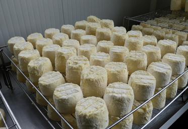 Me voilà tout bien moulé, tout frais, prêt à partir vers de nouveaux horizons !