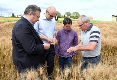 Le 12 juillet, à Allaines-Mervilliers (Eure-et-Loir). Le directeur des Territoires, Sylvain Reverchon (au c.), constate, sur une parcelle de Jean-Michel Gouache (à d.), l’impact des conditions météo sur la prochaine récolte.