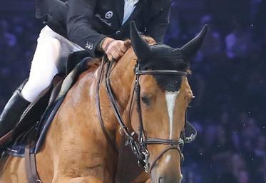 Le célèbre cavalier seine-et-marnais Roger-Yves Bost fait partie de l’équipe de France pour les JO de Rio avec sa jument Sydney Une prince.
© FFE/PSV