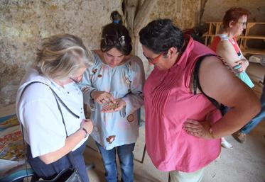 Le 26 août, à Saint-Ange-et-Torçay. Marie-Laure Cuisset (au c.) montre un échantillon de sa récolte à ses invités de la Fête de la moisson, organisée par elle dans le cadre d’une opération de la plate-forme #agridemain.