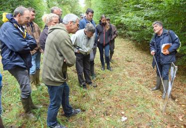 Le 16 septembre, à Miermaigne. La chambre d’Agriculture a organisé une journée pour comprendre en quoi la biodiversité a toute son utilité en agronomie.