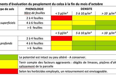 Evaluer un colza à la fin de l’automne.