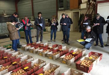 Le 8 novembre à Tour-en-Sologne. Les résultats des essais menés à la station régionale d’expérimentation légumière sur les variétés d’oignons jaunes de conservation ont été présentés.