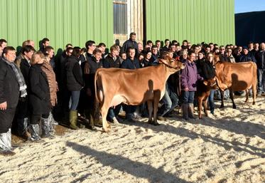 Le 8 décembre, à Arrou. Une centaine d’éleveurs a participé à la Journée jersiaise organisée par Axéréal élevage au sein de l’EARL Hyson-Voillot.