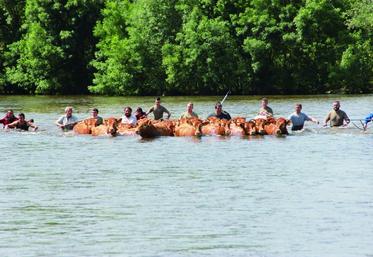 Le 7 juin à Seigy, les pompiers et les agriculteurs sauvent des vaches dans leur pré inondé. Dans toute la région, les pluies de début juin ont fortement affecté les cultures. Les dégâts ont été fortement ressentis à la moisson.