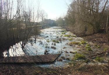Le Parc des Mées offre une valeur biologique, écologique et paysagère remarquable dans le Val Blésois, ainsi qu’un intérêt scientifique et pédagogique du fait de sa faune et de sa flore.