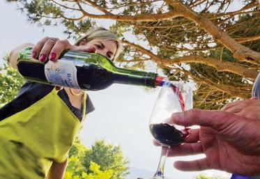 Cette année, trois caves touristiques du Loir-et-Cher ont reçu ont reçu un label d’excellence lors des Rencontres du réseau des Caves touristiques du vignoble de Loire, le 17 janvier.