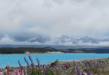 Nouvelle-Zélande, île du Sud, Mont Cook(DR : Doriane MANTEZ)
