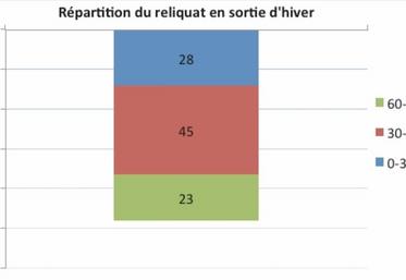 Vu le faible développement des céréales, l’azote présent dans le sol est largement suffisant pour couvrir les besoins. 