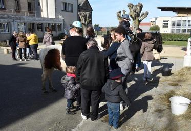 Le 11 mars, à Mignières. Les portes-ouvertes du LEAP Efagrir - Franz-Stock sont l’occasion pour les familles de découvrir l’option cheval proposée par l’établissement.