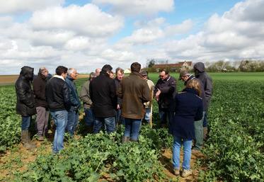 A Mespuits (Essonne), le 22 mars. Les agriculteurs adhérents au dispositif Dephy sud 91 se sont retrouvés pour un rendez-vous technique.