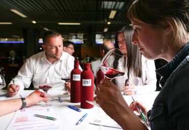 les 17 et 18 mars derniers, 22 vignerons ont présenté 63 échantillons au concours des vins des vignerons indépendants à Paris. Au total, 12 médailles loir-et-chériennes: deux d’or, sept d’argent et trois de bronze.