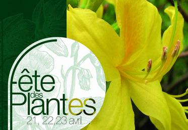 L’édition printanière de la Fête des plantes de Saint-Jean-de-Beauregard (Essonne) met à l’honneur les plantes odorantes. 