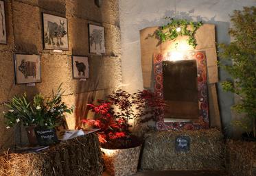 A l’instar de la première édition en 2015, une exposition artistique sera proposée lors du festival Agri’culture.