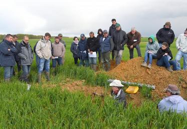 Le 27 avril, à Trizay-lès-Bonneval. La réunion destinée aux agriculteurs du bassin versant de l’Ozanne, organisée par les prescripteurs du secteur, a débuté par un profil de sol.