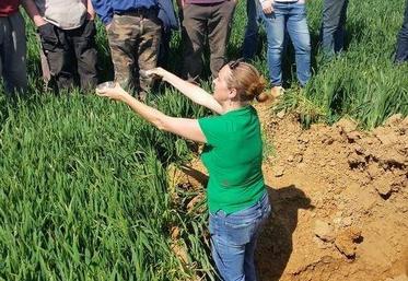 A Guillerval (Essonne), le 24 avril. Les agriculteurs engagés dans le groupe Dephy sud 91 ont participé à un nouveau tour de plaine sur le thème de l’agriculture de conservation.