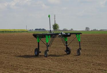 L’agriculture connectée peut faire appel à des robots : ici, l’écorobotix pour le désherbage.