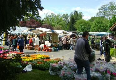 Dimanche 30 avril, la Foire aux oies de Souvigny-en-Sologne, quelque peu perturbée, a tout de même satisfait petits et grands.