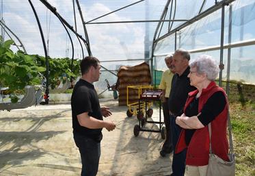 Puis féérie de couleurs sous la serre où les fraises sont en pleine production.