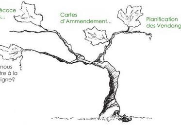 N’hésitez pas à consulter le site web de la société Scanopy: www.scanopy.fr.