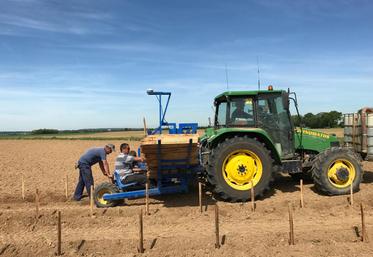 Davron, mardi 16 mai. Trois premiers hectares de vignes (16 000 pieds) ont été plantés. 