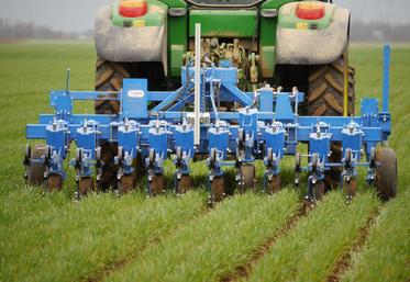 (Archive) Les exploitants en agriculture biologique conventionelle sont conviés le 1er juin.