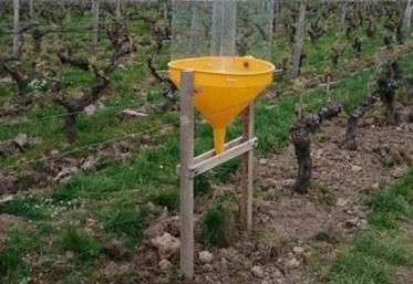 Les pièges sont de deux types : des pièges aériens, appelés Combi trap, qui permettent d’intercepter les insectes volants sur un rayon de 125m autour de cet entonnoir jaune et des pièges enterrés, appelés Barber, qui capturent les insectes au sol dans un rayon de deux mètres.