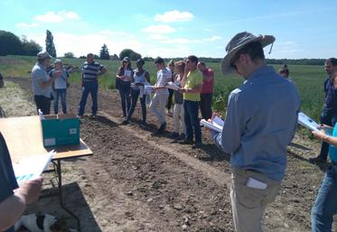 Plus de 34 participants ont participé à la visite des essais d’asperges sur l’exploitation de Denis Billault, fin mai à Ouchamps.