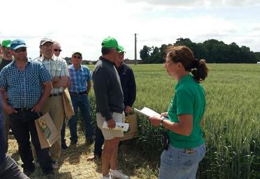 Puiseux-en-France (Val-d’Oise), vendredi 16 juin. Sabine Snyder, conseillère agricole à la chambre d’Agriculture, acceuille les agriculteurs sur la plate-forme.