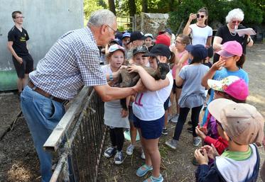 Le 15 juin, à Fontaine-Simon. Les élèves de l’école du Parc de Saint-Lubin-des-Joncherets garderont longtemps le souvenir de cette visite de ferme.