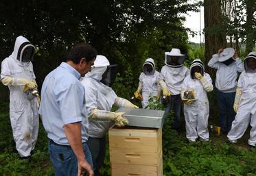 Brie-Comte-Robert, jeudi 6 juillet. Les stagiaires du BPREA passent à la pratique au sein du rucher école.