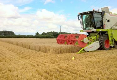 Le 20 juillet, à Arrou. La chambre d’Agriculture a récolté ainsi près de deux mille micro-parcelles d’essais.