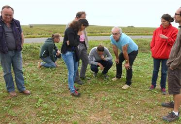 Le 7 septembre, à Péronville. À l’issue de la réunion, Sylvain Pothier (3e à d.) a montré ses parcelles aux agriculteurs venus participer à la Quinzaine de la bio.